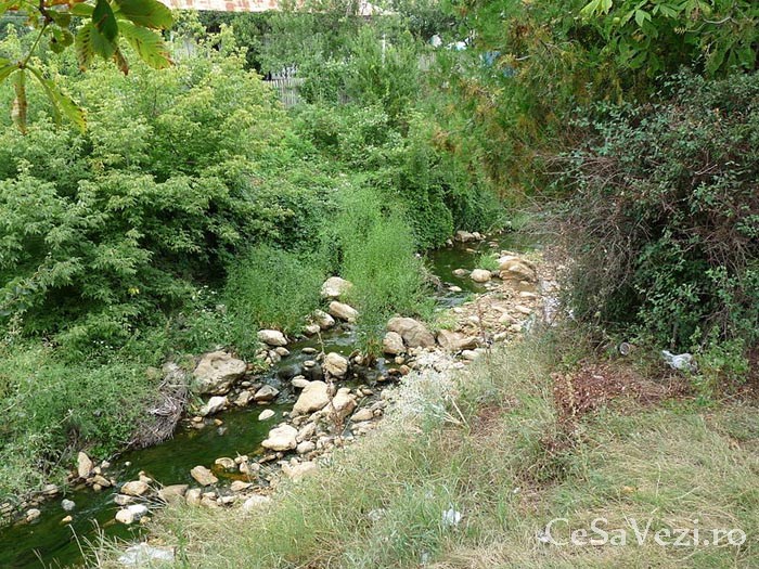 Stațiunea Sărata Monteoru