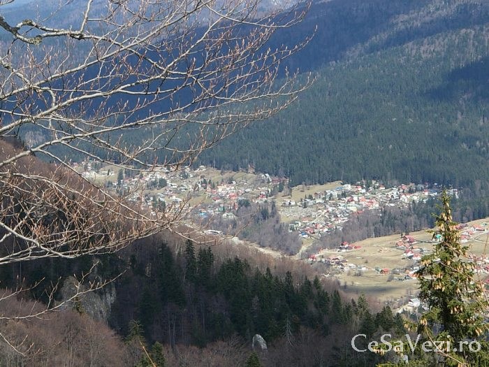 sinaia 2