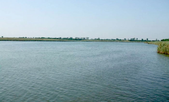 Staţiunea Amara