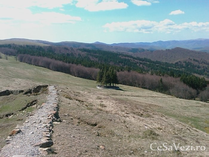 Cetatea medievala Slon