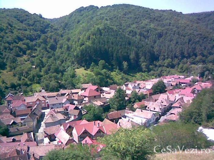 Tilisca de sus