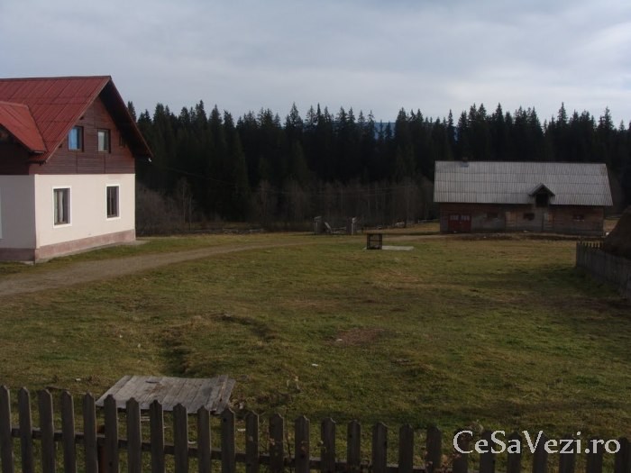 tinovul poiana stampei 4