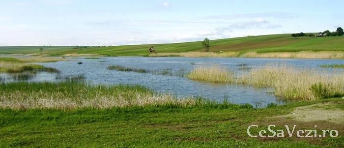 Turbăria de la Dersca