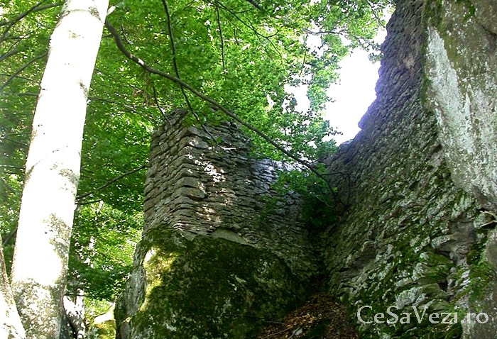 Cetatea Bálványos