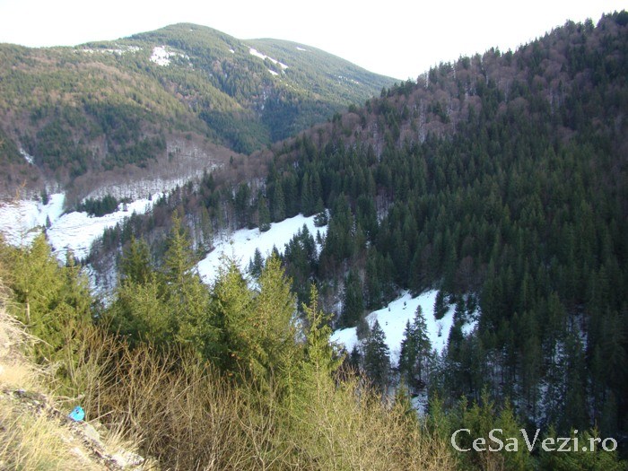 valea draganului 4
