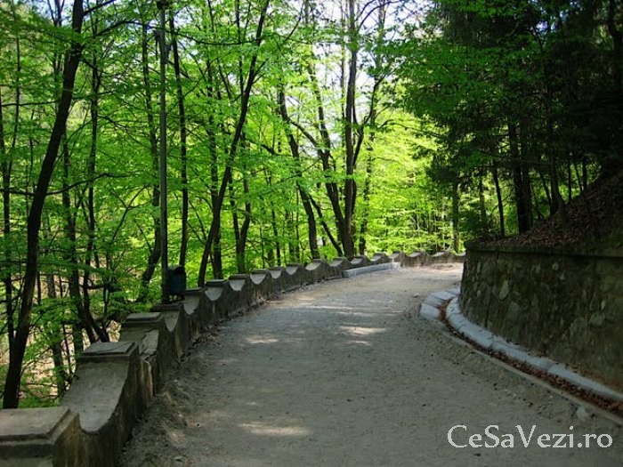 Baile Olanesti