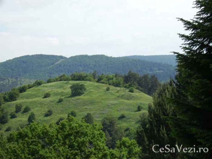 Cetatea Petrodava Batca Doamnei