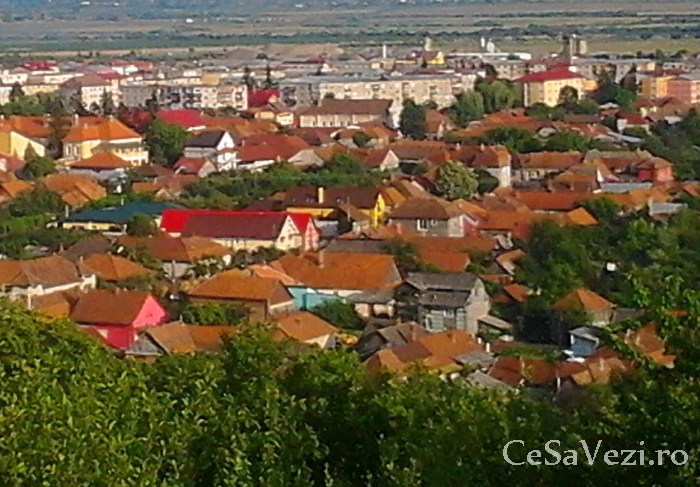 Castelul Bathyanyi