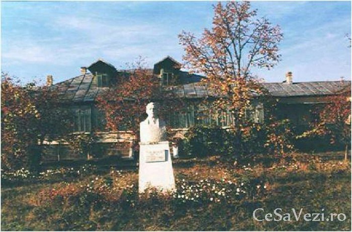 casa memoriala emil racovita 2