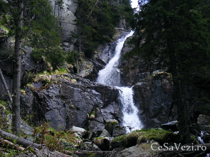 Cascada Sebişel