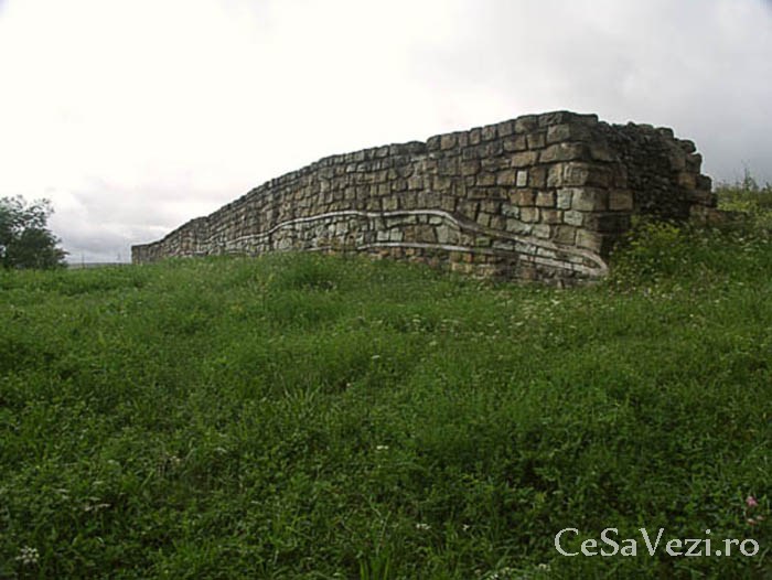 Cetatea Dăbâca