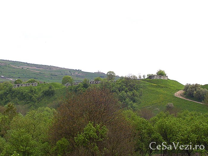 Cetatea Dăbâca