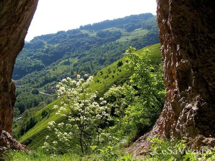 Cheile Intregalde