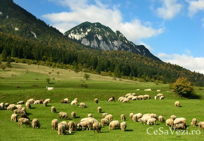 Rezervatia Naturala Iezerele Cindrelului