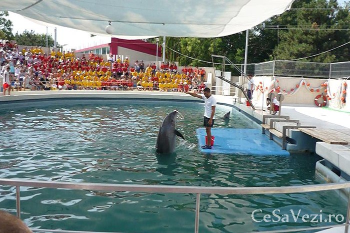 Delfinariu
