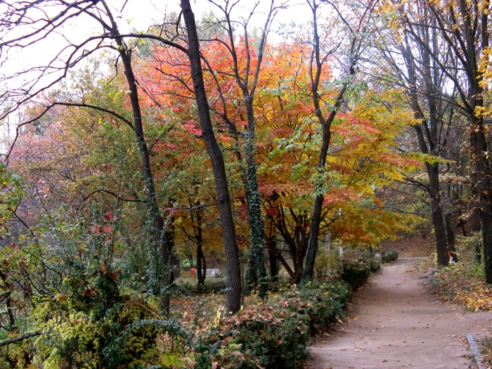 Gradina Botanica "Alexandru Buia" din Craiova