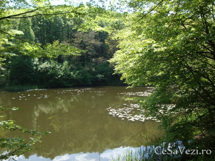 Lacul Mic (Lacul cu nuferi)