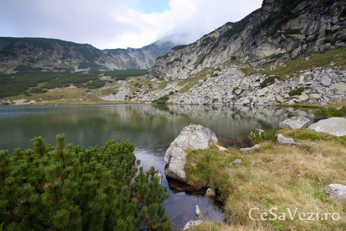 lacul galcescu 4
