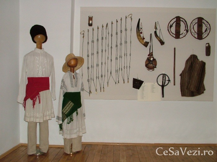 Muzeul Judetean Buzau