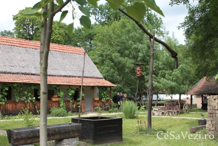 muzeul satului banatean 2