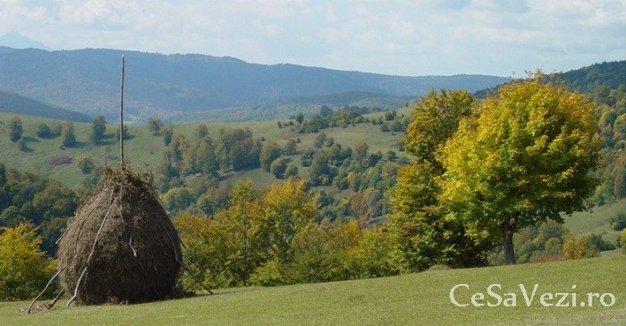 Parcul National Vanatori Neamt