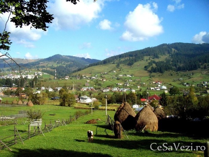 Vatra Dornei